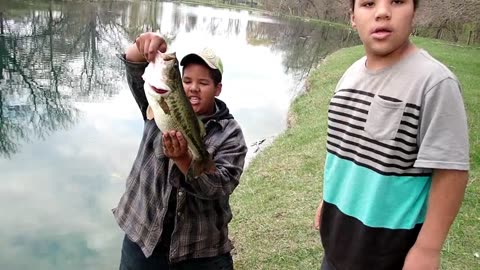 One Fat Bass