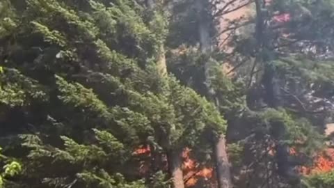 A look at the Tunnel Five Fire near Underwood, Washington 🔥 🔥🔥