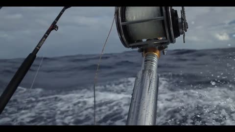 With steps to measure the world, with eyes to record the scenery.