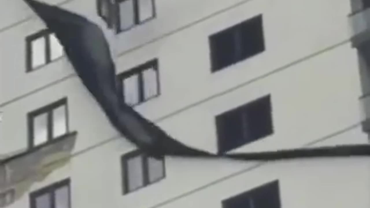 Can You Make Me Laugh_ 100_ If You Can Make Me Laugh _ Funny Tiktok Videos of Panda Boi