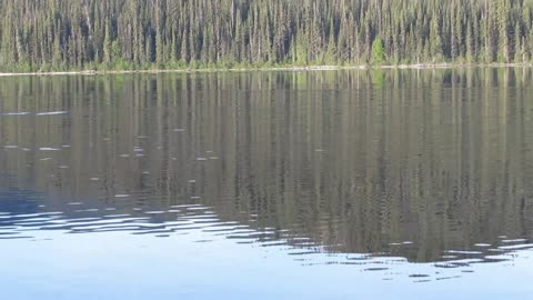 2016 Nechako Paddle - Loons