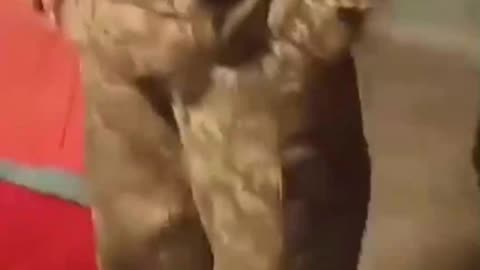 A political officer refused to communicate with the military officers