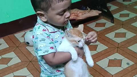 Playing with pet