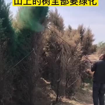 Exposed - One of China's CCP Fake "Going Green" Technology