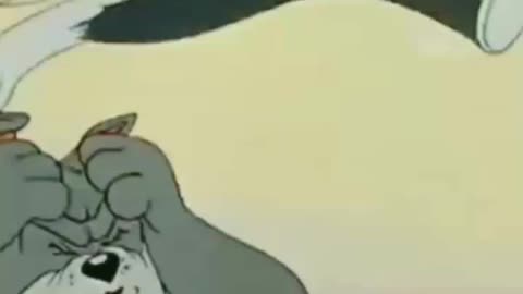 Tom and Jerry short video