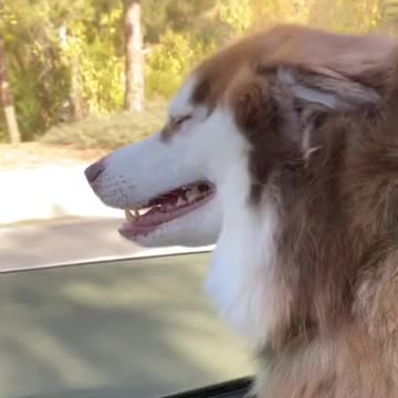 Me in my convertible