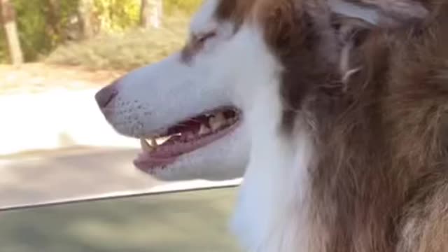 Me in my convertible