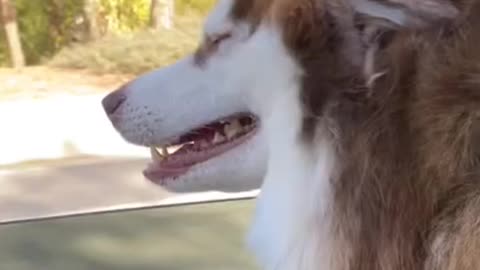 Me in my convertible