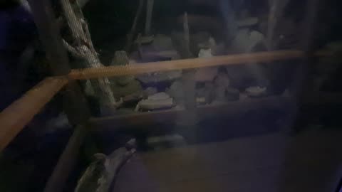 MOrE rOcKS added too this STONE TEMPLE