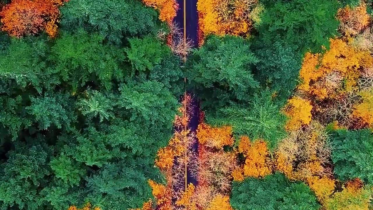 nature7