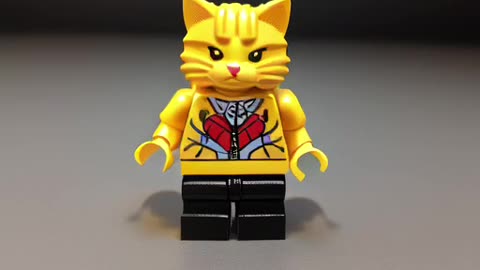 Lego Cat Minifigure