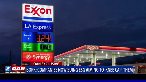 Bork: Companies Now Suing ESG Aiming To 'Knee Cap' Them