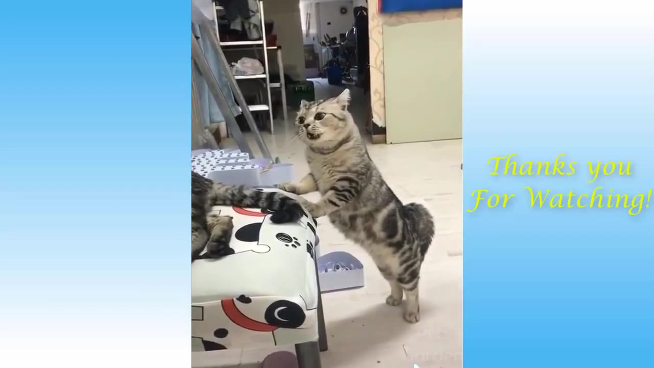 Cute baby animals doing funny things ♥️1 by Bubbly Animals Planet