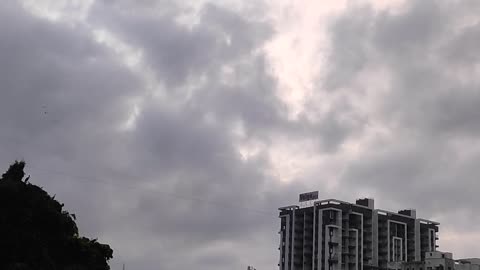 The peace is near water with birds