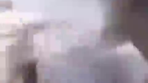 random meme I found on the internet