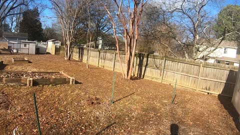 Garden update January 1, 2023