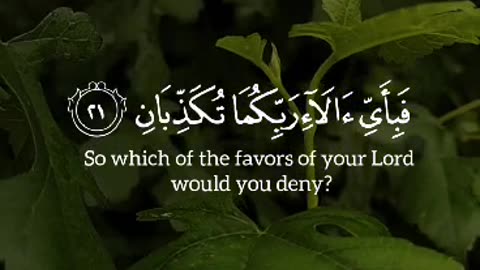 Best Quran recite