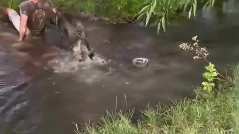 The end 😂😂😂 #viral #shorts #fails #funny #mmvfunny