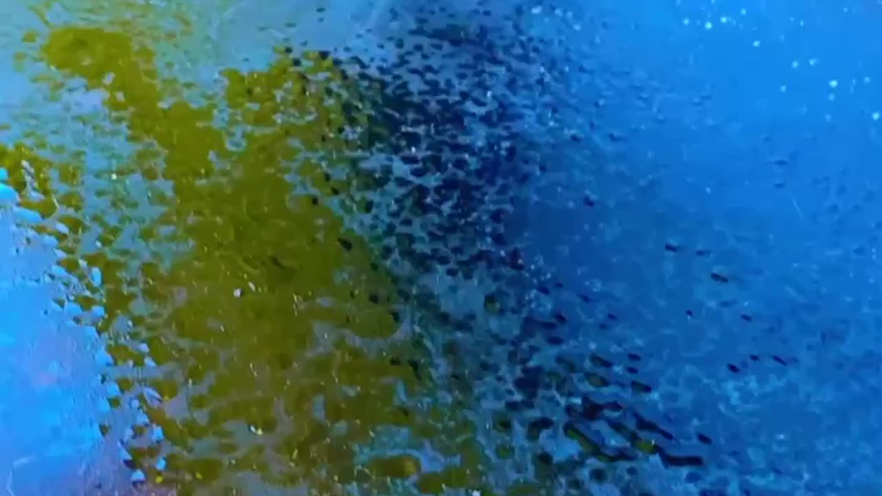 SPRAY IT ON