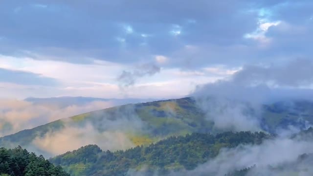 Shennongjia's scenery is surrounded by clouds and mist