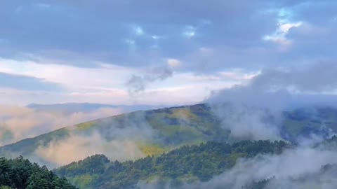 Shennongjia's scenery is surrounded by clouds and mist