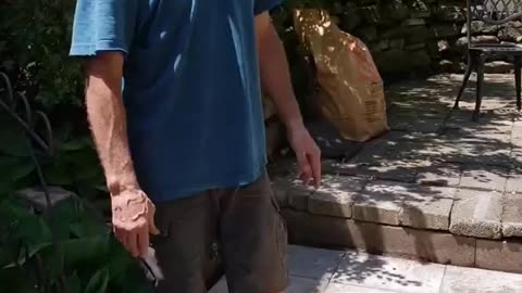 Step Right Up!