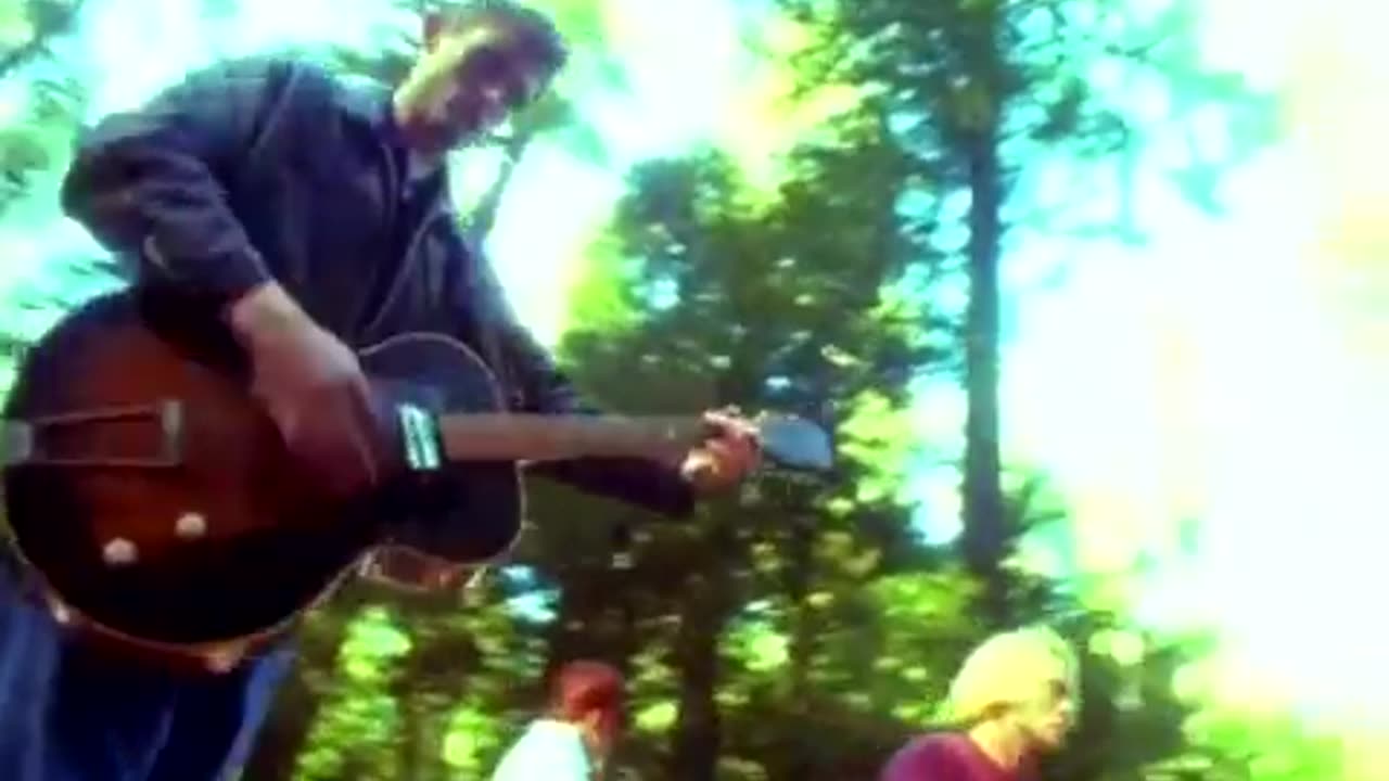 Belly - Feed The Tree