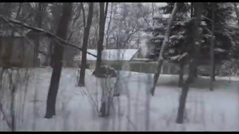 Winter In July