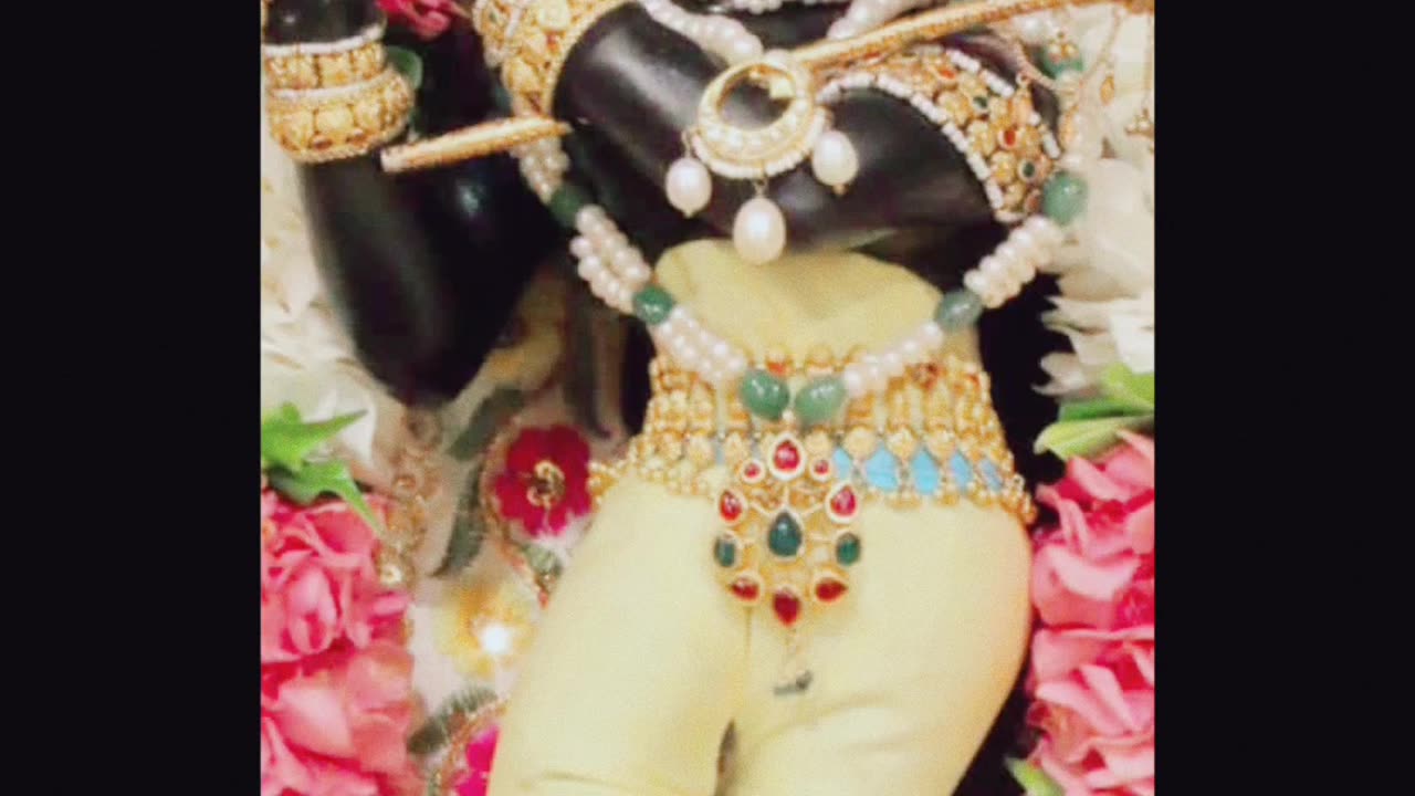What is Radha Krishna love❤