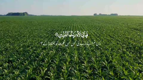 Surah Al-Rahman