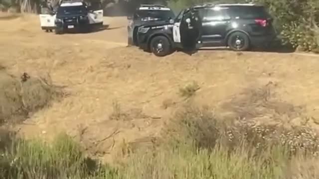 Two Cars Undergo Head-on Collision During Chase