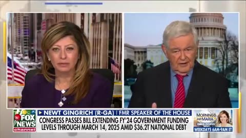 There's a 'Trump effect' you can feel, says Newt Gingrich