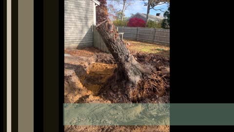 O'Brien Tree Service LLC - (774) 227-4948