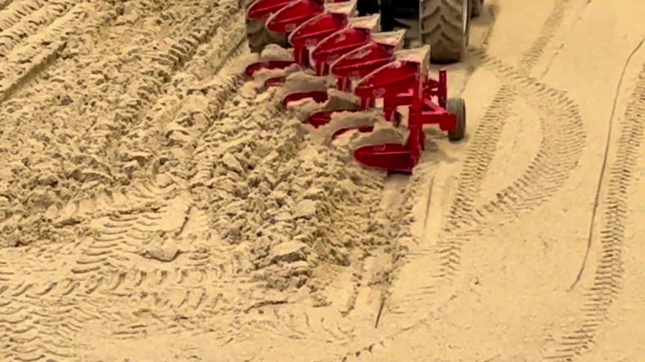 CRC vídeos curiosos