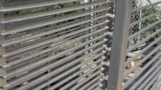 Carts before after