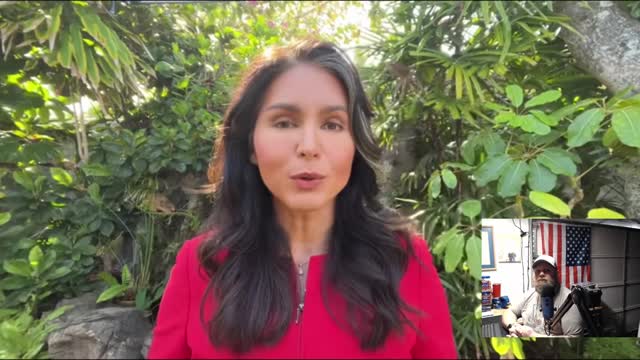 Tulsi Gabbard shreds Mitt Rino Romney with Facts!!