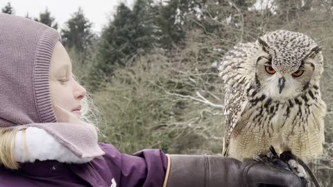Flying with owls