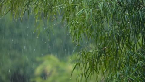 Rain music feeling. Wonderful videos. 🌧️