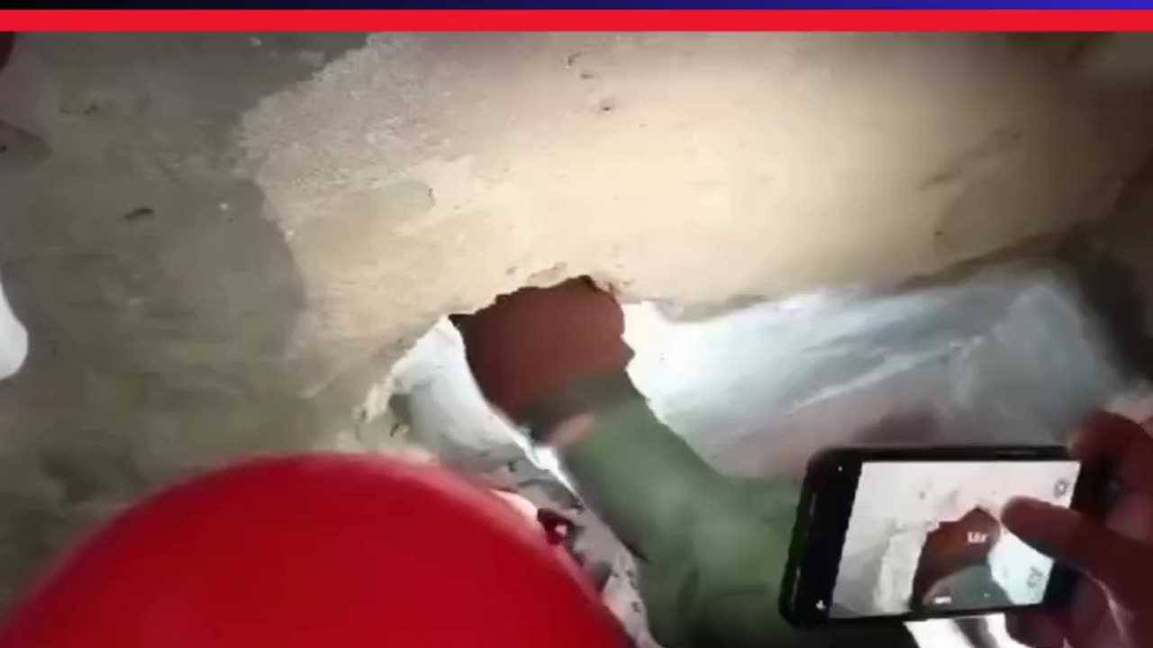 Baby Cat Rescue | Trying to save life of Kitten baby cat | Pet rescue Viral Video