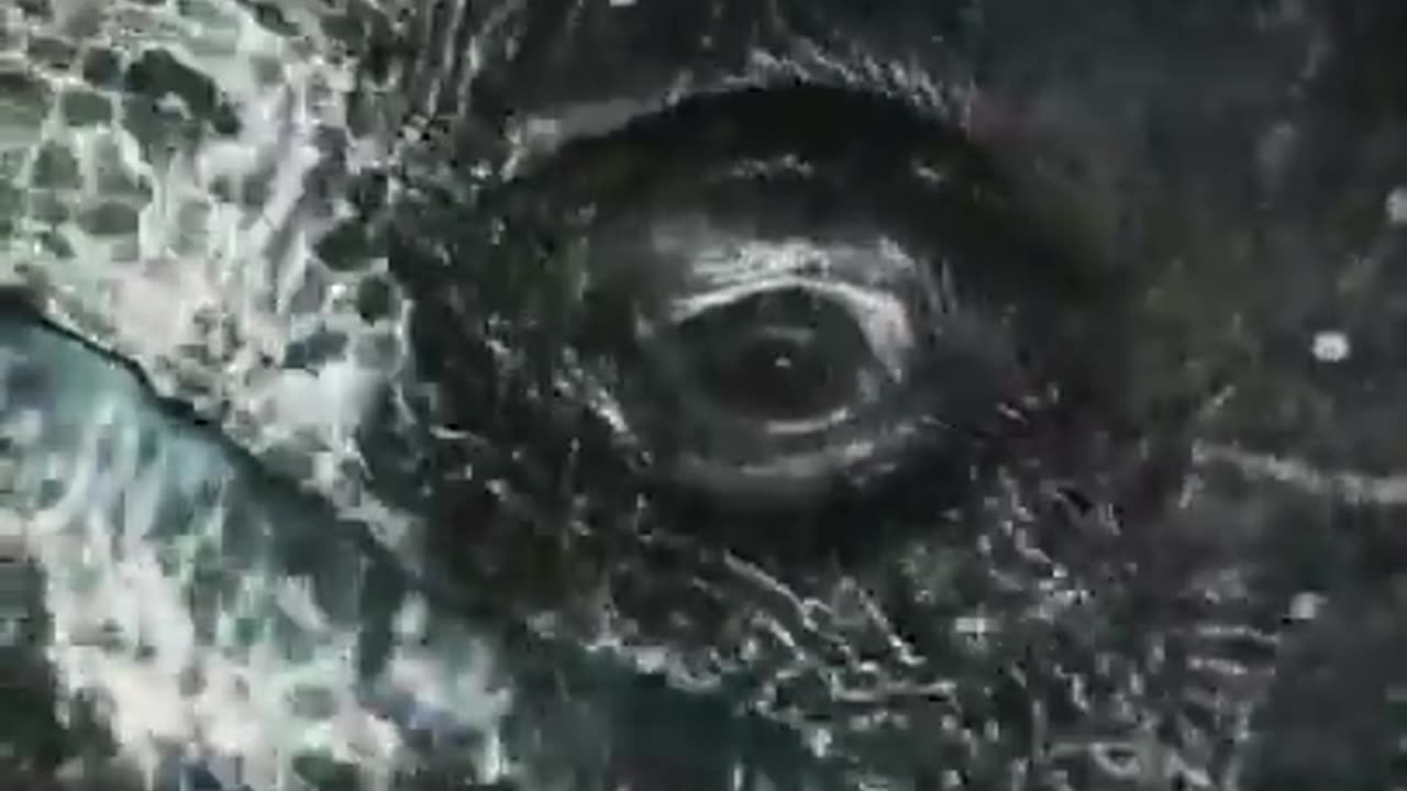 Making eye contact with a Grey Whale