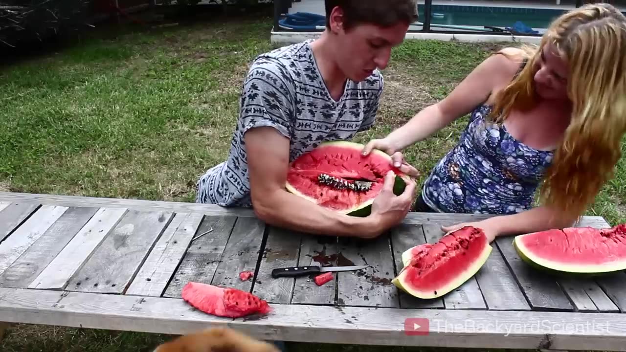 Pouring Molten Aluminum In a Watermelon. Awesome Surprise!