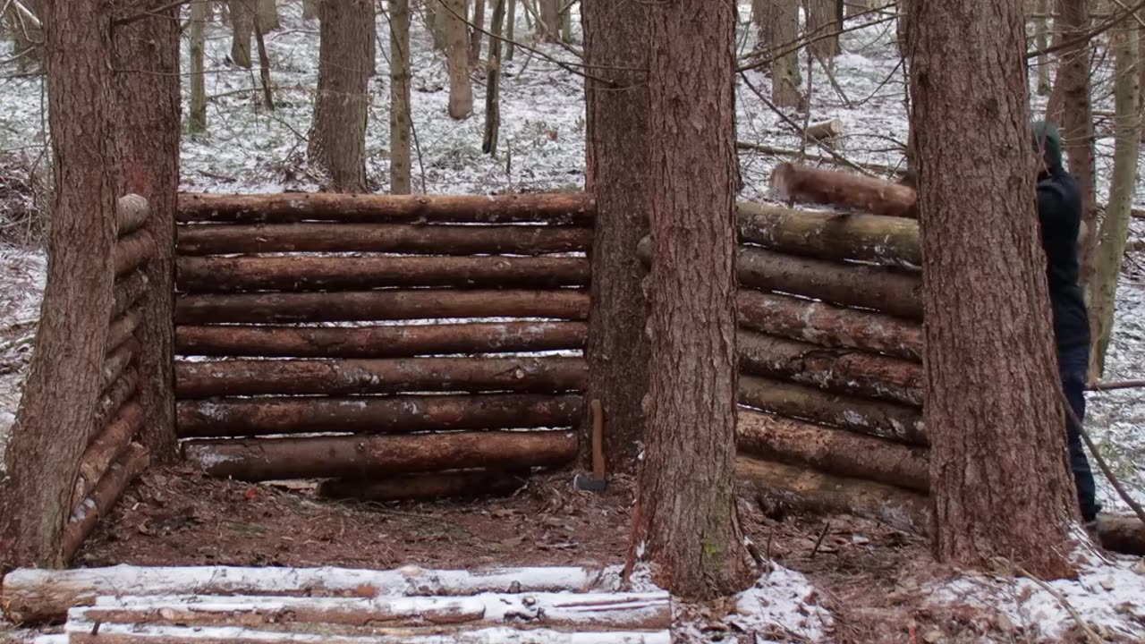 Building a Warm Shelter in the Wild Forest Shorts