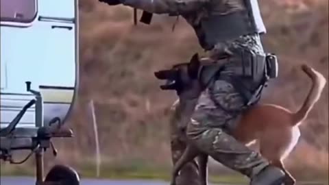 Army dog training