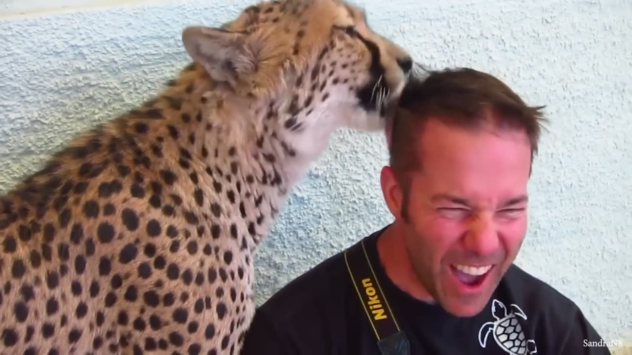Heartwarming Moments That Prove Animals Love Us So Much!