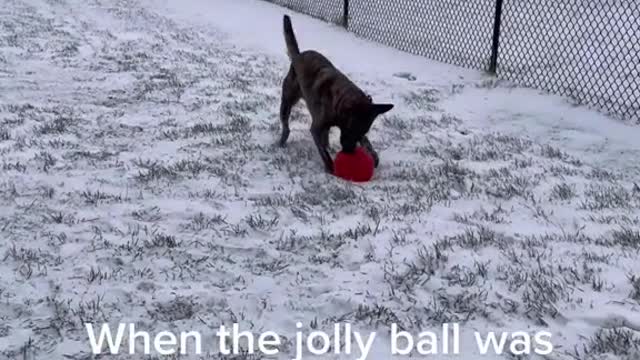 When the jolly ball was left outside overnight infreezing temps