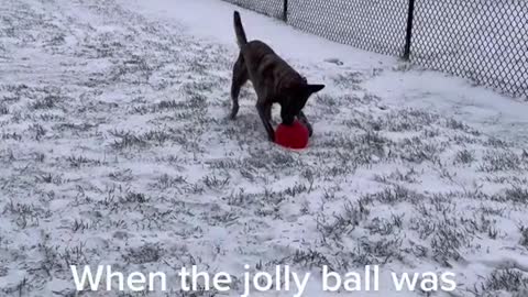 When the jolly ball was left outside overnight infreezing temps