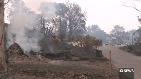 Australians urged to prepare bushfire plans ahead of summer _ ABC News