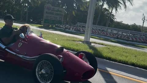 Dog Drives a Vintage Ferrari on Florida Street