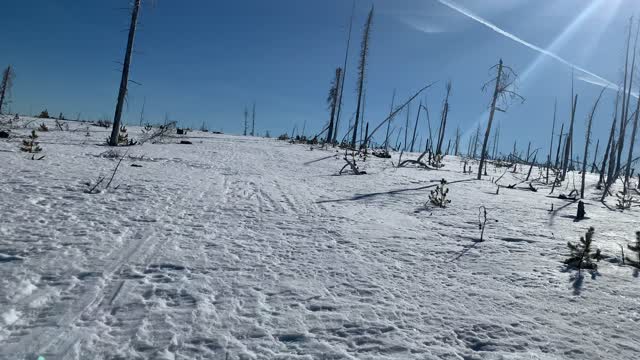 An Adventure – Upper Three Creek Lake Sno-Park – Central Oregon – 4K