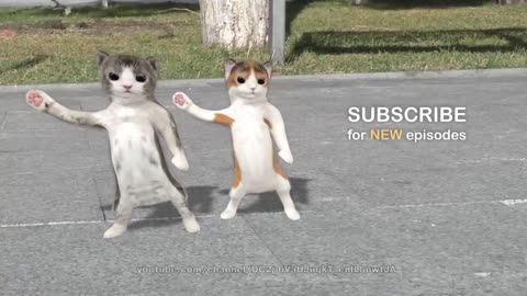 Dancing Cat